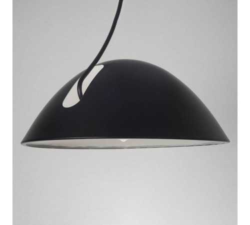 Подвесной светильник Zortes Korkee ZRS.1802.50