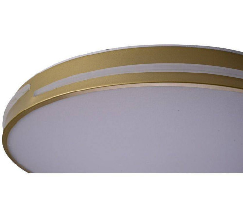 Накладной светильник Zortes Gabby ZRS.90610.50