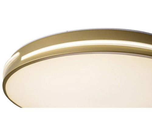 Накладной светильник Zortes Gabby ZRS.90610.50