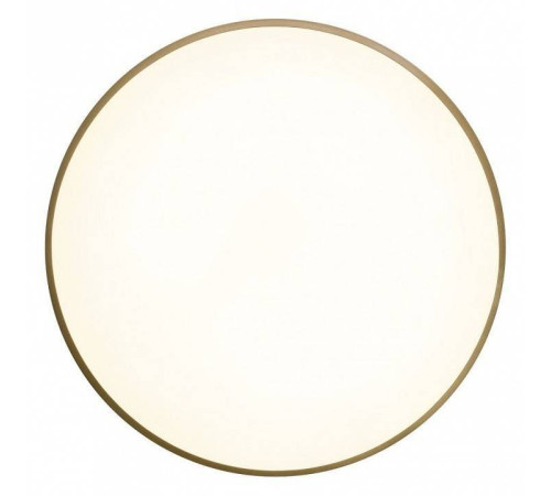 Накладной светильник Zortes Gabby ZRS.90610.50