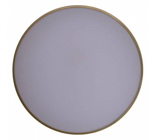 Накладной светильник Zortes Gabby ZRS.90610.50