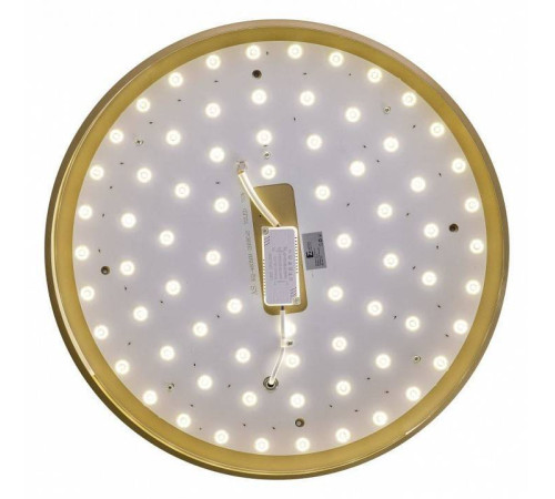 Накладной светильник Zortes Gabby ZRS.90610.50