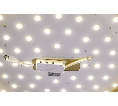 Накладной светильник Zortes Gabby ZRS.90610.50