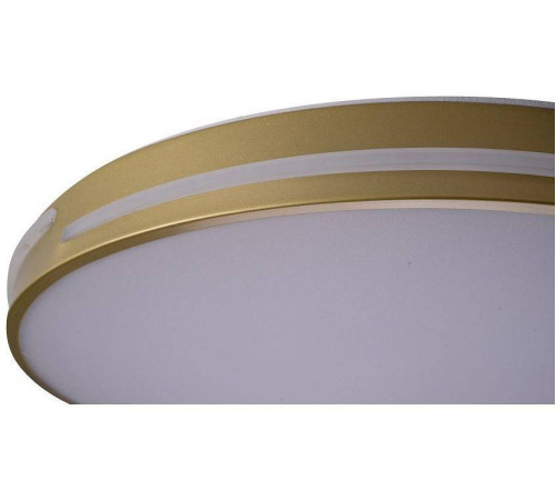 Накладной светильник Zortes Gabby ZRS.90610.50