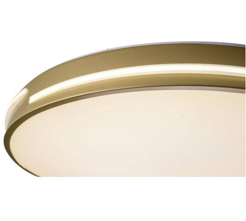 Накладной светильник Zortes Gabby ZRS.90610.50