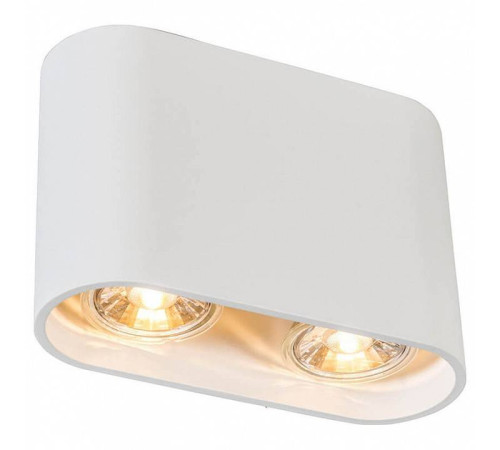 Накладной светильник Zumaline Ronduo ACGU10-062