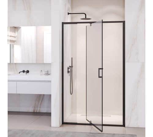 Душевая дверь RGW Passage PA-008B 1100x1850 мм черный 350800812-14