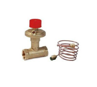 Регулятор дифференциального давления Giacomini R206C-1 DN20 3/4 20-60 кПа R206CY224