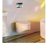 Унитаз подвесной Laufen Sonar 53х37х34 см безободковый белый матовый 8.2034.1.757.000.1