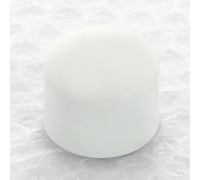 Заглушка полипропиленовая Pro Aqua 25 мм PA15010P