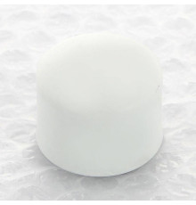 Заглушка полипропиленовая Pro Aqua 25 мм PA15010P