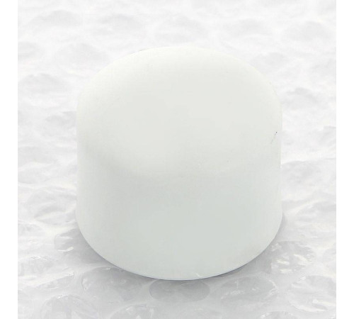 Заглушка полипропиленовая Pro Aqua 25 мм PA15010P