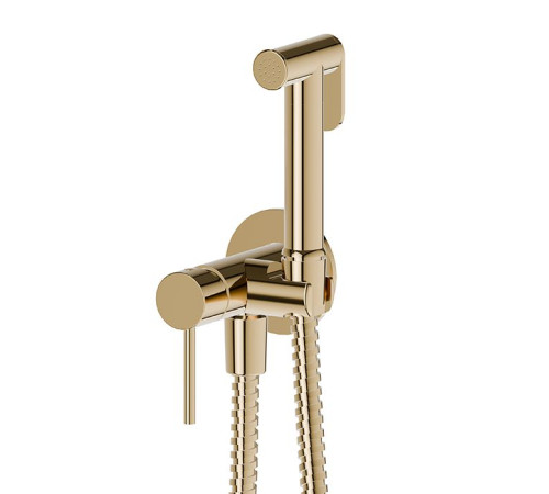 Смеситель с гигиеническим душем Newform Idroscopini шланг 120 см PVD Brushed Pale Gold 886E.59.098