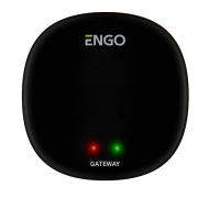 Интернет-шлюз ENGO ZigBee EGATEZB