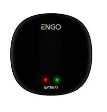 Интернет-шлюз ENGO ZigBee EGATEZB