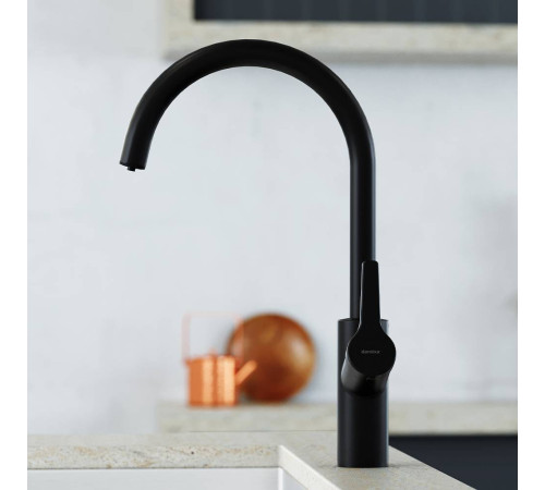 Смеситель для кухни AM.PM Eclipse с каналом для питьевой воды матовый черный 310721300