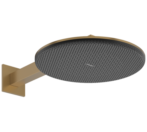 Верхний душ hansgrohe Raindance Alive S 300 мм 2 режима с кронштейном 390 мм бронза 24540140