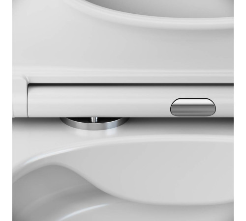 Унитаз подвесной AM.PM Inspire V2.0 FlashClean с сиденьем микролифт C701701SC