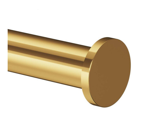 Держатель для туалетной бумаги AM.PM X-Joy золото A85A34199