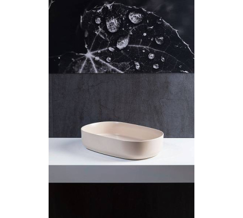 Раковина накладная Allen Brau Fantasy 55 см бежевый 4.11022.IV