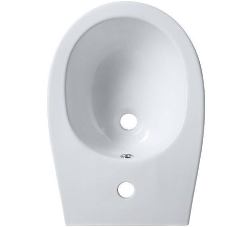Биде напольное Allen Brau Fantasy белый 4.11008.20