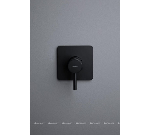 Смеситель встраиваемый для душа Allen Brau Priority 1 выход Easy box черный 5.31012-31