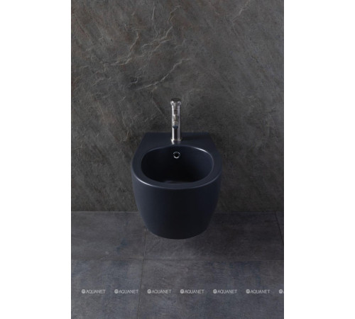 Биде подвесное Allen Brau Fantasy 510x363 мм антрацит 4.11006.AN