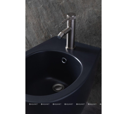 Биде подвесное Allen Brau Fantasy 510x363 мм антрацит 4.11006.AN