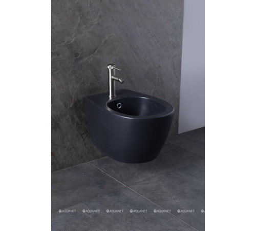 Биде подвесное Allen Brau Fantasy 510x363 мм антрацит 4.11006.AN