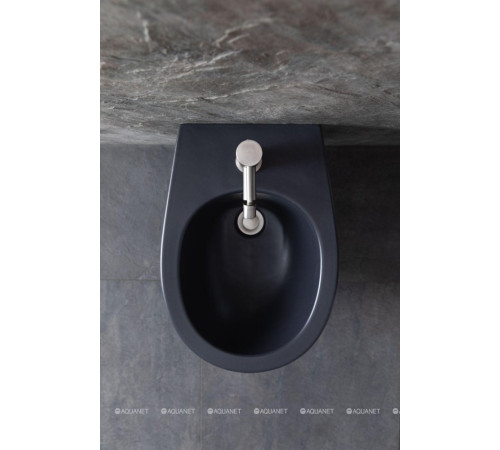 Биде подвесное Allen Brau Fantasy 510x363 мм антрацит 4.11006.AN