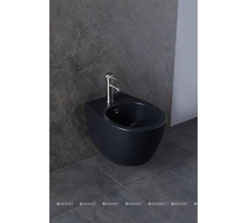Биде подвесное Allen Brau Fantasy 510x363 мм черный матовый 4.11006.31