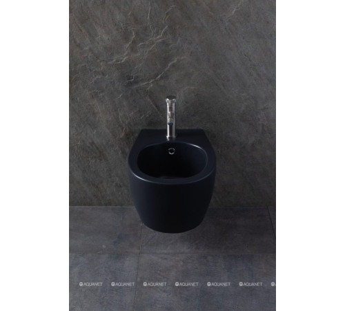 Биде подвесное Allen Brau Fantasy 510x363 мм черный матовый 4.11006.31