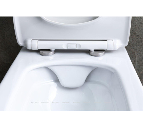Унитаз подвесной Allen Brau LIBERTY 2 Rimless без сиденья 518х370 мм белый 4.33007.20