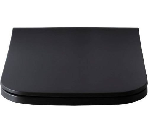 Крышка-сиденье для унитаза Allen Brau Infinity 36x44x4.5 см черный 4.21014.AN