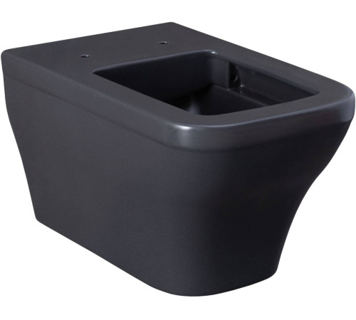 Чаша подвесного унитаза Allen Brau Infinity 34x53.5x35.5 см серый 4.21011.AN