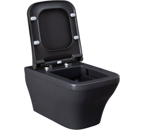 Чаша подвесного унитаза Allen Brau Infinity 34x53.5x35.5 см серый 4.21011.AN