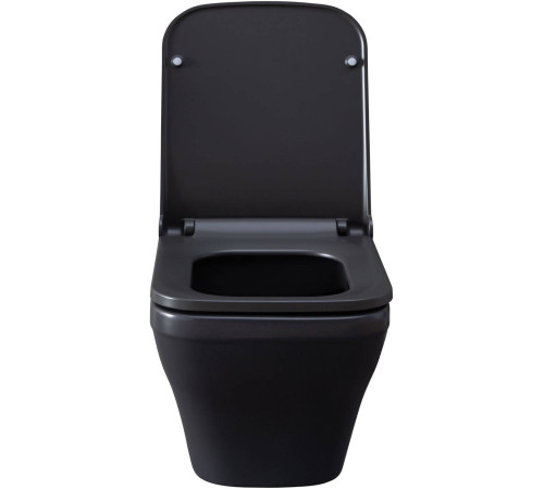 Чаша подвесного унитаза Allen Brau Infinity 34x53.5x35.5 см серый 4.21011.AN