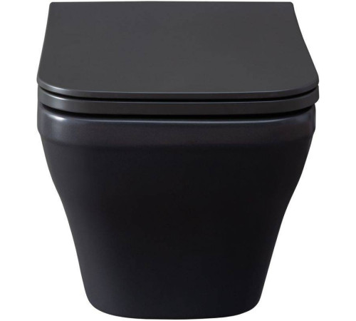 Чаша подвесного унитаза Allen Brau Infinity 34x53.5x35.5 см серый 4.21011.AN