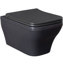 Чаша подвесного унитаза Allen Brau Infinity 34x53.5x35.5 см серый 4.21011.AN