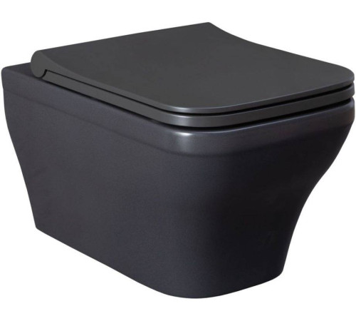 Чаша подвесного унитаза Allen Brau Infinity 34x53.5x35.5 см серый 4.21011.AN