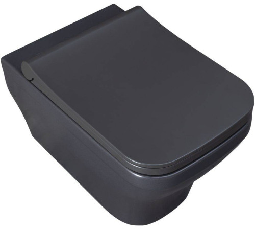 Чаша подвесного унитаза Allen Brau Infinity 34x53.5x35.5 см серый 4.21011.AN