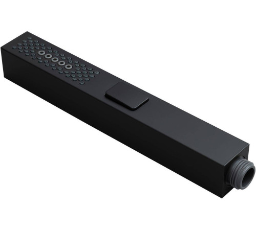 Душевая лейка Allen Brau Infinity черный 5.21A22-31