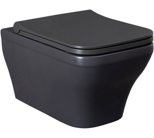 Чаша подвесного унитаза Allen Brau Infinity 34x53.5x35.5 см серый 4.21011.AN