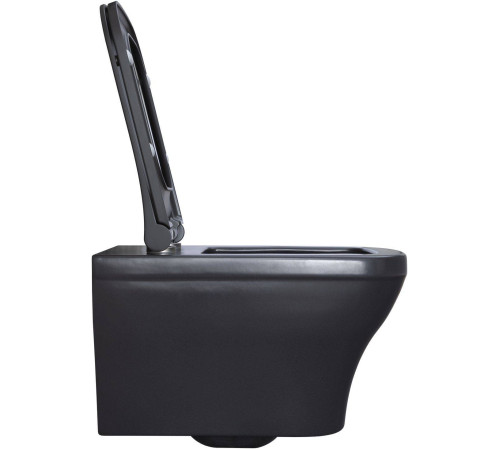 Чаша подвесного унитаза Allen Brau Infinity 34x53.5x35.5 см серый 4.21011.AN