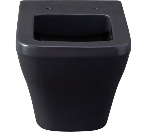 Чаша подвесного унитаза Allen Brau Infinity 34x53.5x35.5 см серый 4.21011.AN