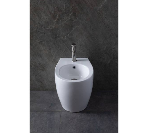 Биде напольное Allen Brau Fantasy белый 4.11008.20