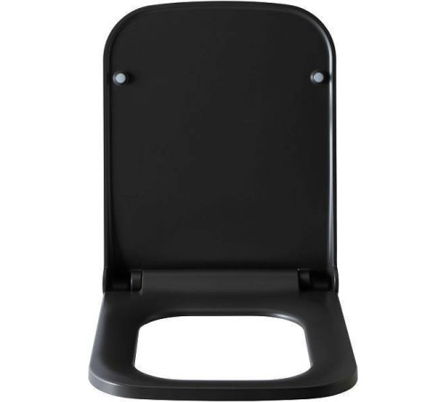 Крышка-сиденье для унитаза Allen Brau Infinity 36x44x4.5 см черный 4.21014.AN