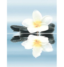 Панно Дельта Керамика Dream P2-2D185 30х40 см (из 2-х плит) P2-2D185