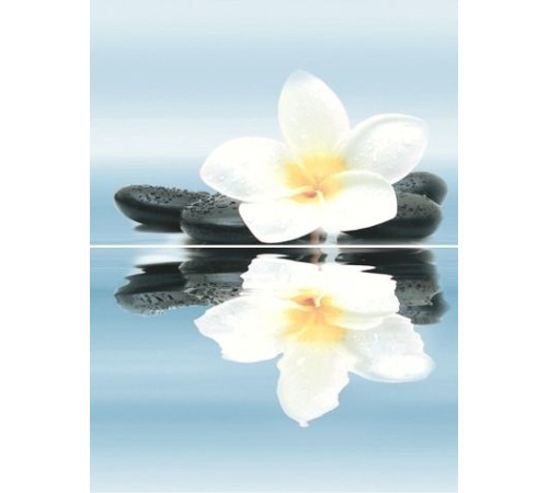 Панно Дельта Керамика Dream P2-2D185 30х40 см (из 2-х плит) P2-2D185