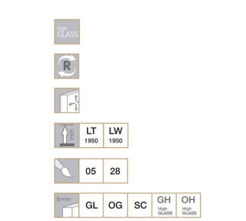 Маятниковая дверь для прямоугольной кабины Provex Look 1000х1950 мм 0005 LT 05 GL